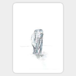 Elephant in monochrome Sticker